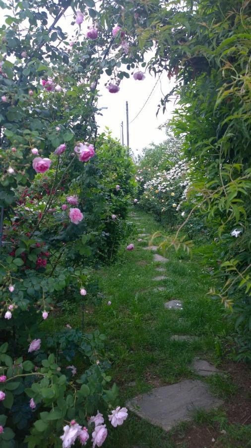 B&B Villa Giardini Susanna Gattico Dış mekan fotoğraf