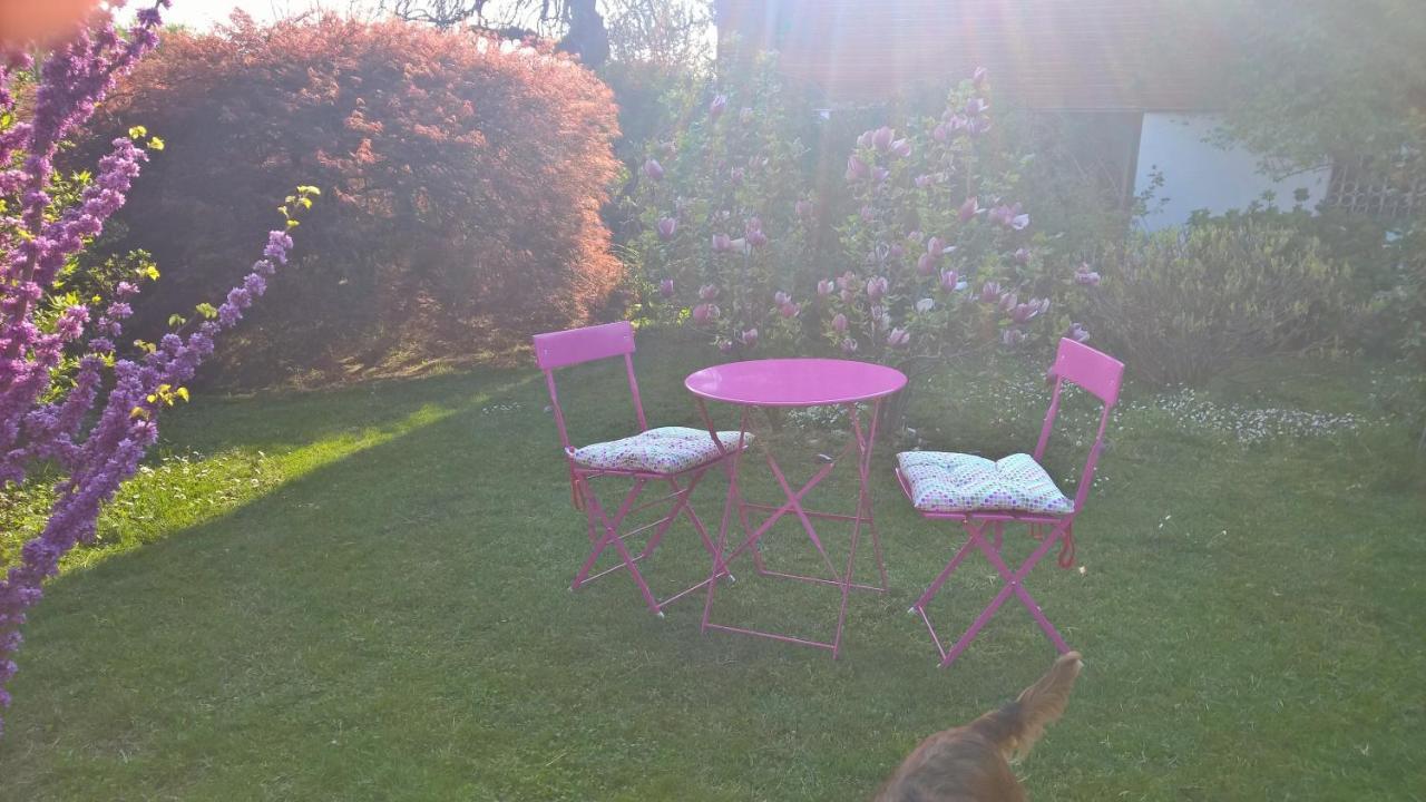 B&B Villa Giardini Susanna Gattico Dış mekan fotoğraf