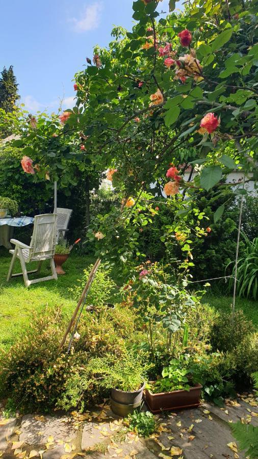 B&B Villa Giardini Susanna Gattico Dış mekan fotoğraf