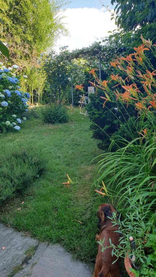 B&B Villa Giardini Susanna Gattico Dış mekan fotoğraf