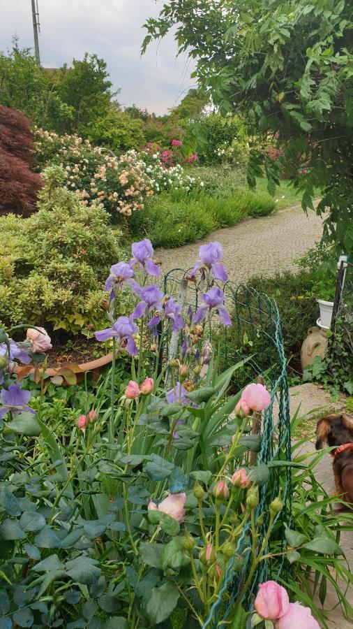 B&B Villa Giardini Susanna Gattico Dış mekan fotoğraf