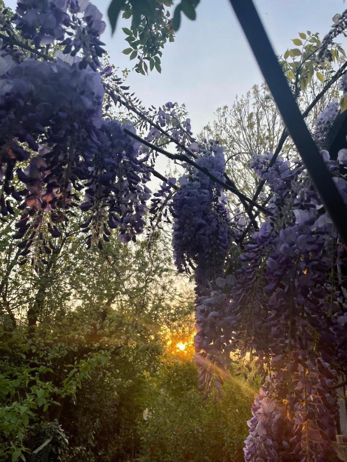 B&B Villa Giardini Susanna Gattico Dış mekan fotoğraf