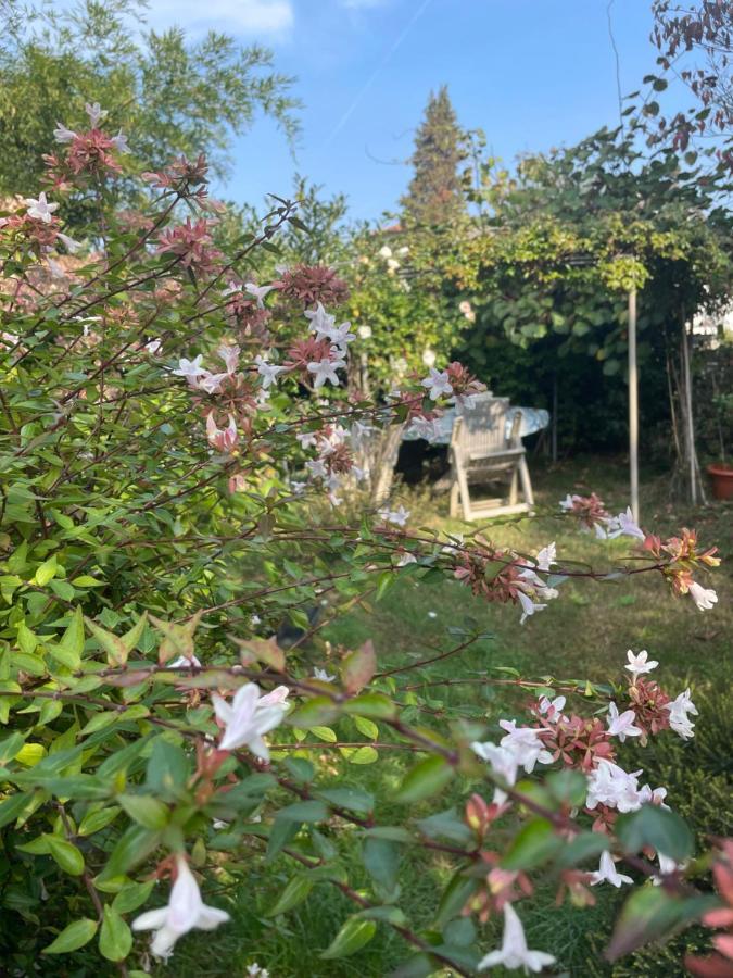 B&B Villa Giardini Susanna Gattico Dış mekan fotoğraf